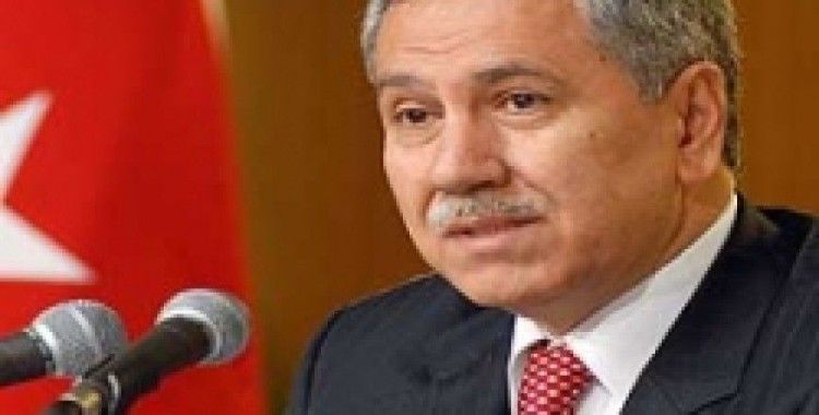 Başbakan Yardımcısı Arınç saldırıları değerlendirdi