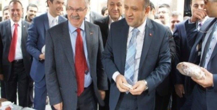 Bakan ışık'tan palaz'a 'senarist yardımcılığı' tavsiyesi