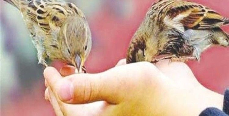 Rüyada imaret görmek