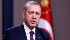 Cumhurbaşkanı Erdoğan, İspanya Başbakanı Mariano Rajoy ile görüştü