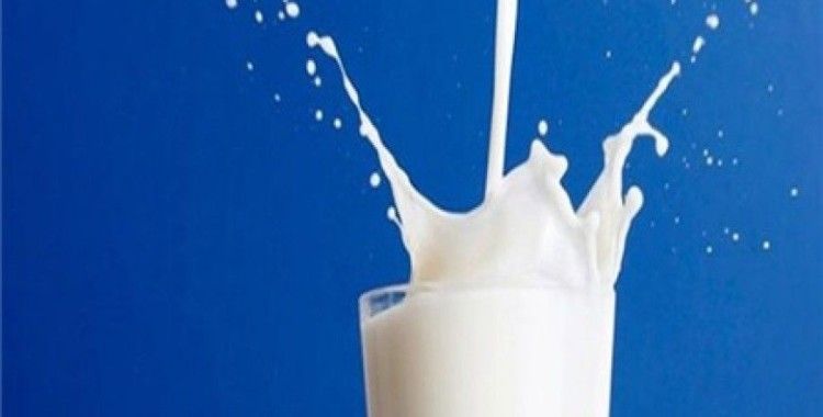 Ulanbator adlı süt ve yogurt üretilecek