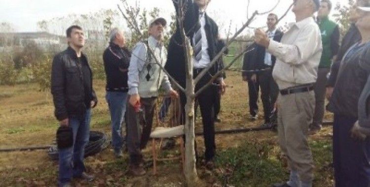 Malkara'da çiftçilere budama eğitimi verildi