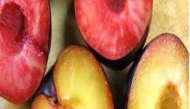 Eriğin şaşırtan faydaları