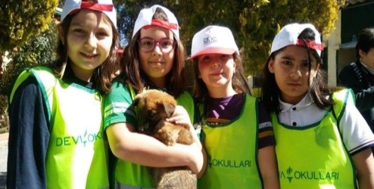 Dünya Sokak Hayvanları Günü Gaziantep'te kutlandı