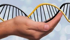 DNA robotlarının kontrolü için yeni sistem geliştirildi