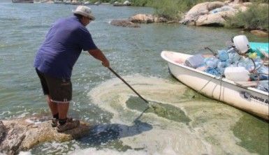 Bafa Gölü yine yeşile boyandı