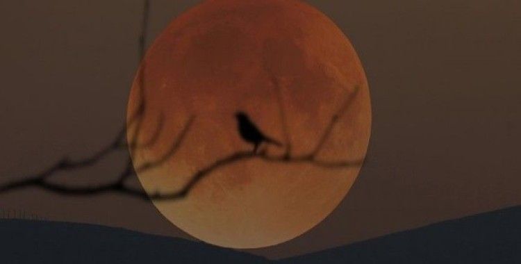 21. yüzyılın en uzun 'Kanlı Ay' tutulması cuma günü yaşanacak
