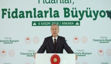 Cumhurbaşkanı Erdoğan, Tabiata bakış açımızı düzeltmezsek dünya yaşanılır olmaz