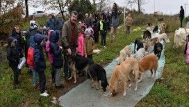 Öğrencileriyle topladığı yemek artıklarını sokak hayvanlarına ulaştırıyor