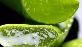 Aloe Vera'nın faydaları