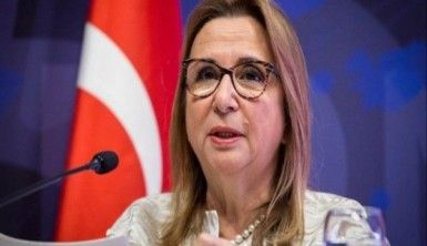 Türkiye ABD'ye açtığı 'çelik' davasını kazandı