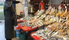 Kocaeli'de balık fiyatları cep yakıyor