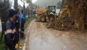 Bodrum'da facianın eşiğinden dönüldü