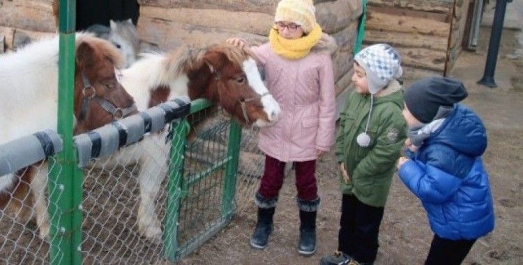 Tatil çocuklarının Pony sevinci