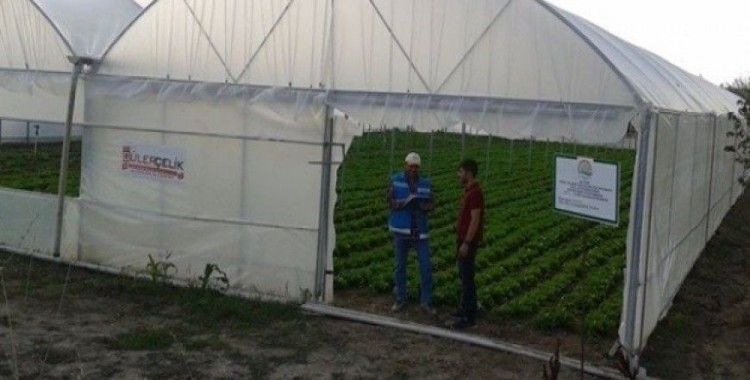 Emet’te seracılık kursuna ilgi