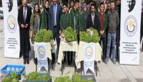 Kış şartlarında yetiştirdikleri marulları vatandaşlara dağıttılar