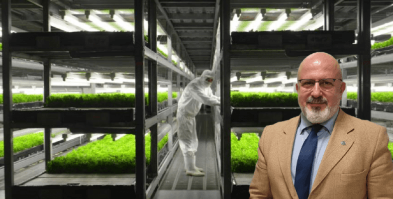 Küresel tarımda akıllı gelecek: Dikey ve Hidroponik Tarım