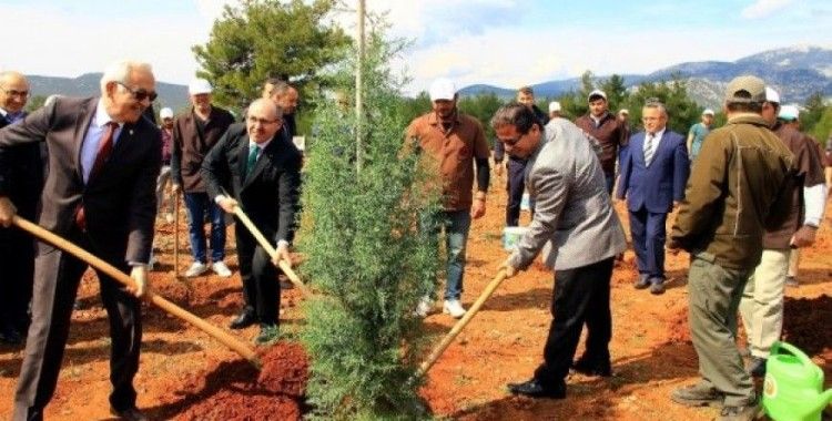 ’Adalet Ormanı’ fidanlarla buluştu