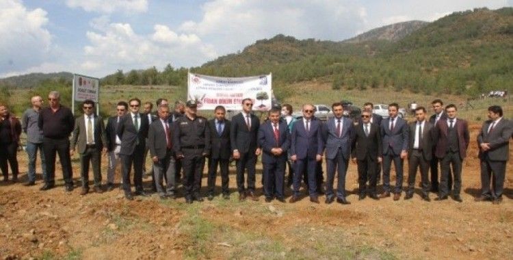 Fethiye’ye ’Adalet Ormanı’ için bin 600 fidan dikildi