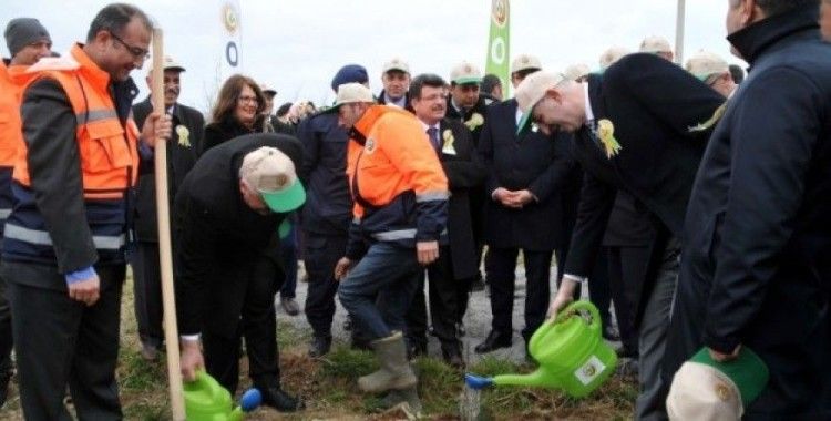 Adalet Ormanı’nda meyve fidanları toprakla buluşturuldu