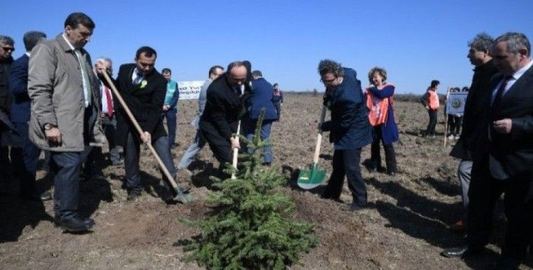 Adalet Ormanı’na ilk fidan Vali Canalp’ten