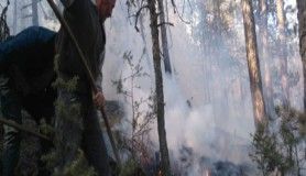 Bolu'da çıkan yangında 4 hektarlık orman zarar gördü