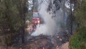 Orman yangını anında müdahaleyle söndürüldü