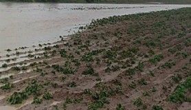 Sağanak yağışlar köyleri vurdu
