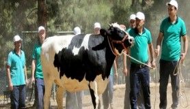 Kurban yakalama timi bayrama hazırlanıyor