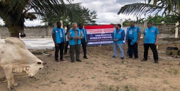 TDV, Abidjan’da Prof. Dr. Ali Erbaş’ın kurbanını kesti