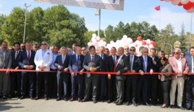 Kastamonu Taşköprü’de Sarımsak Festivali başladı