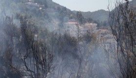 Fethiye'deki yangın kısa sürede söndürüldü