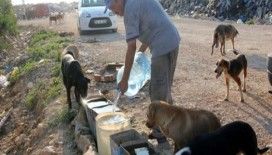 Sokak hayvanları için 11 yıldır su taşıyor