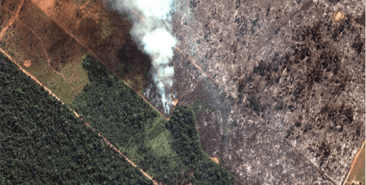 Amazonlar'da yangınlar devam ediyor