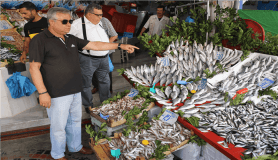 Edirne'de balık tezgahları hareketlendi, hamsi dolardan hızlı düşüyor