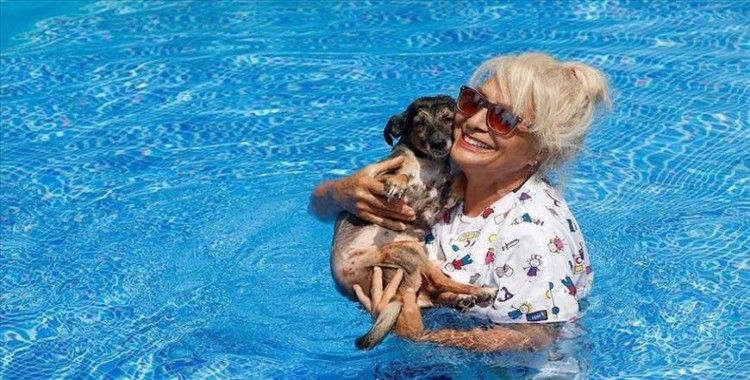Havuzlu villasını 85 köpeğe açtı