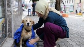 Yağmurda ıslanan köpeği kıyafetiyle kuruladı