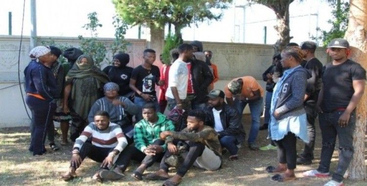Ayvalık’ta 30 kaçak göçmen yakalandı