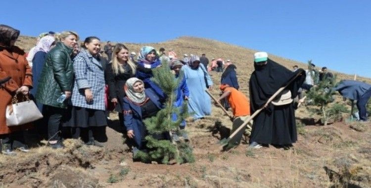 Vali Memiş: 21 metrekare boş yer bırakmayacağız”