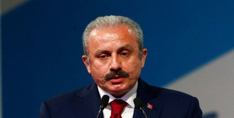 TBMM Başkanı Şentop: "Türkiye, Suriye’de kalıcı barışın sağlanması için her türlü girişimin içinde"