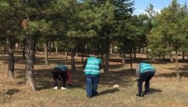 Önerler’deki mesire alanları ve cami, hükümlüler tarafından temizlendi