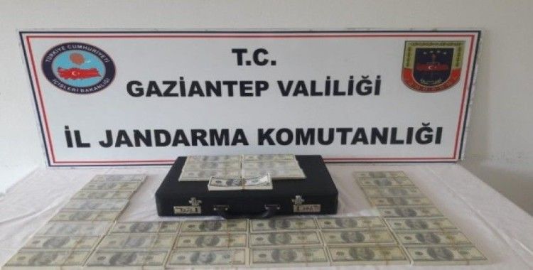Gaziantep’te piyasaya sahte dolar süren 2 kişi yakalandı