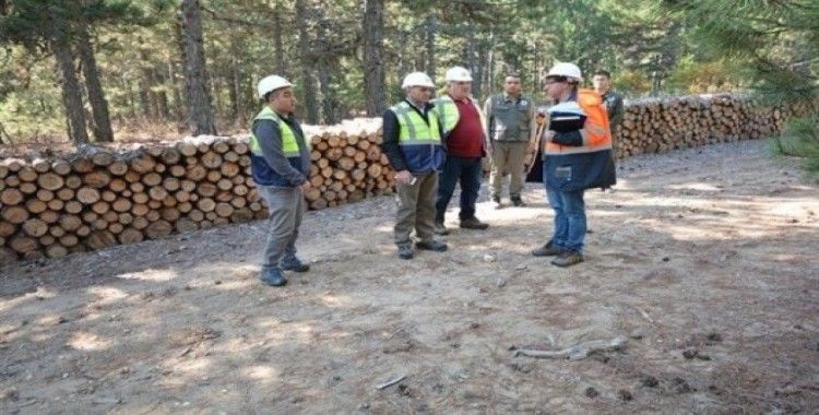Orman Bölge Müdürü Keskin: "Üretimde öncelik kalitedir"