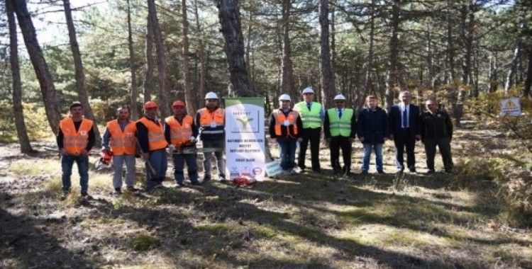 Ormancılık iş koluna mesleki yeterlilik belgesi şartı getirildi