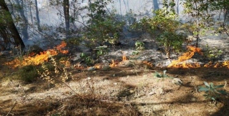 Erzin’de orman yangını