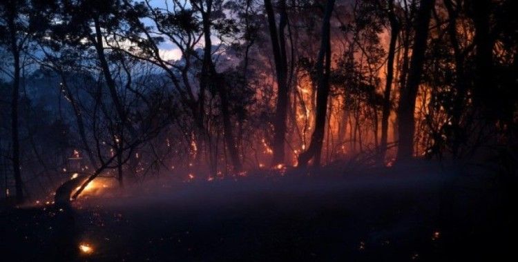 Avustralya'da korkutan orman yangınları