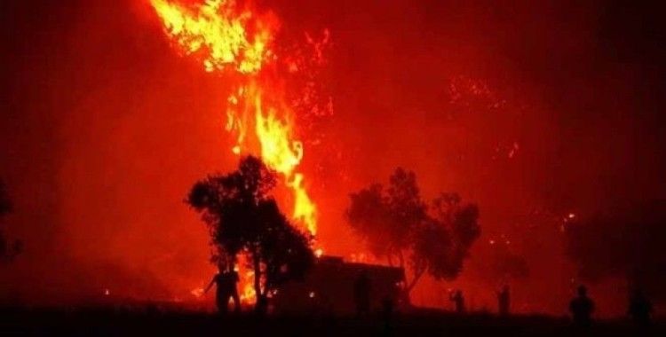 Çanakkale'de 2019 yılında 52 orman yangını çıktı