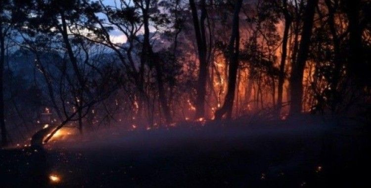 Avustralya'da orman yangını, 2 ölü, 100 ev yıkıldı