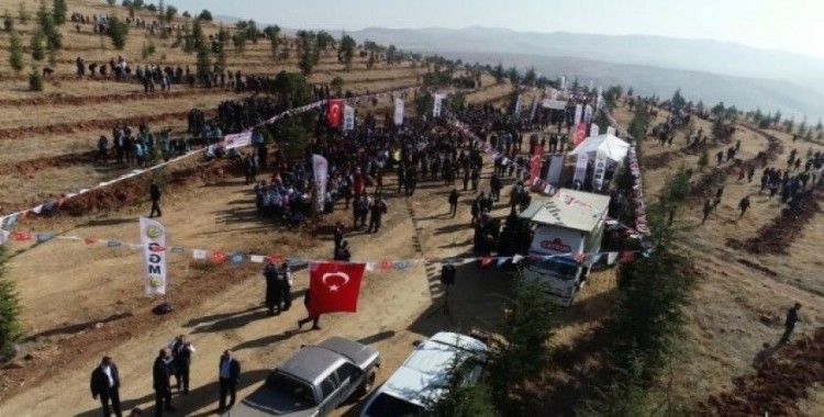 Kırıkkale’de 71 bin fidan toprakla buluşturuldu