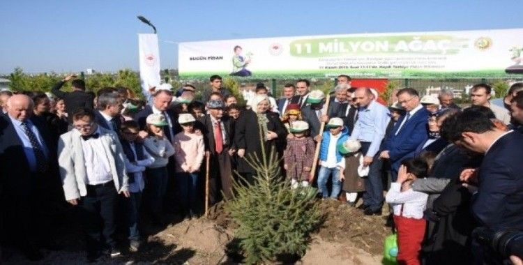 Aile, Çalışma ve Sosyal Hizmetler Bakanı Selçuk, Sinop'ta fidan dikimine katıldı